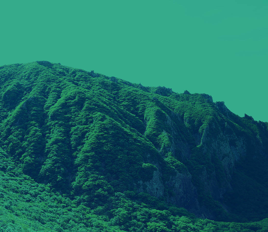 A first time homebuyer's home in Highland Village, TX