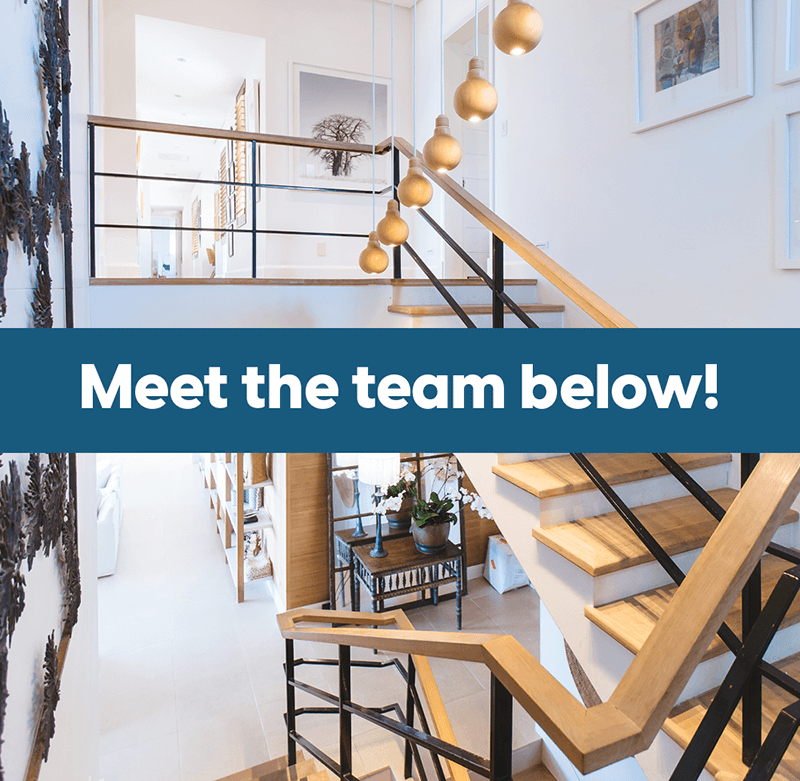 Meet the Basil Abed Team