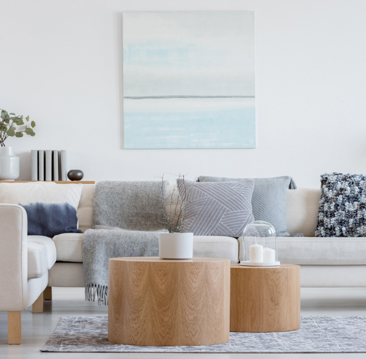 A cozy couch in a living room in Boca Raton, FL